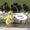 SelfControl