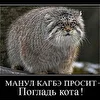 Иван Крюк