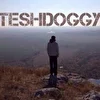 TeshDoggy work