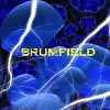 brumfield