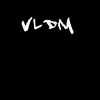 VLDM