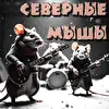 СевернЫе МышЫ