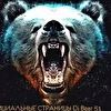 djbear51