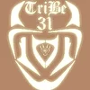 TriBe31
