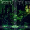 Raccoon_7