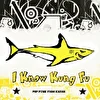 I Know Kung Fu