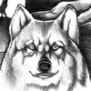 Серега Романов АFree White Wolf, группа CaNiS DiRuS,Smolensk