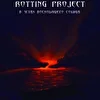 rotting project