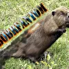 Bobrfantom
