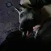 К.Л.М.Н.