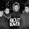ABOUT BEAVER
