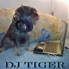 DJ Tiger