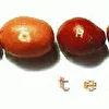 Мари Тим
