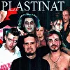 Plastinat