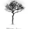 Viktor Stay