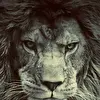 LIONHEART
