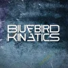 Bluebird Kinetics
