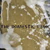 The Domestic Punk