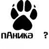 пАника   ?