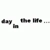 A Day In The Life