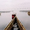 Жаркие страны ех Полтергейст