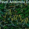 Dj Pavel Anisimov 