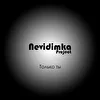 Nevidimka project