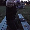 Проект Бенни
