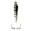 the owl