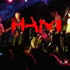 HAM