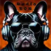 Radio TOR