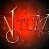 INTUM