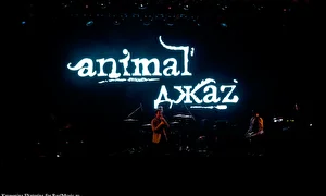 Animal ДжаZ, 20 апреля, YotaSpace, фото: Екатерина Крупенина