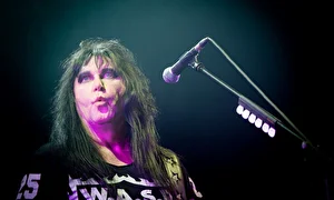 W.A.S.P.: Хорошего понемножку