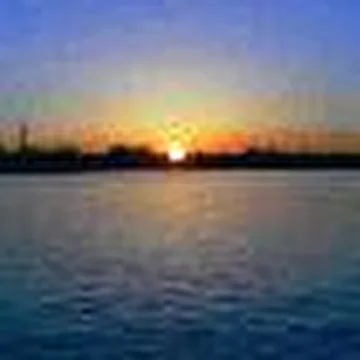 CALAMUS