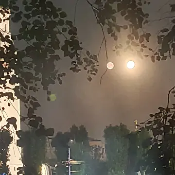 Игорь Френкель