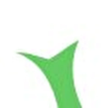 The Wright