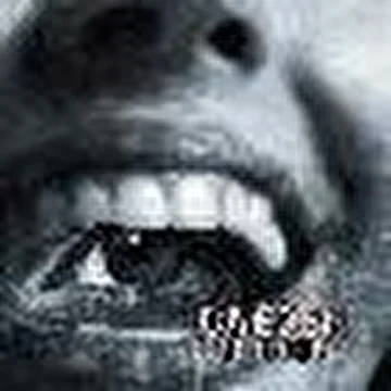 SLEZI