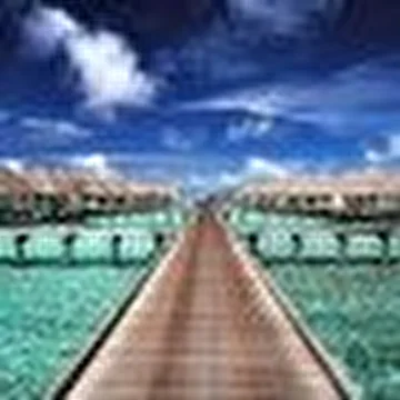 sDJ_POGO