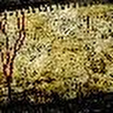 rhesus_negatory