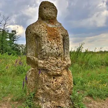 Михаил Левин