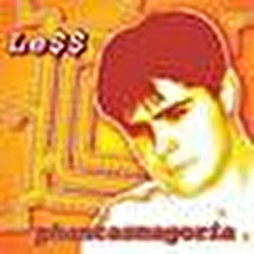 LeSS