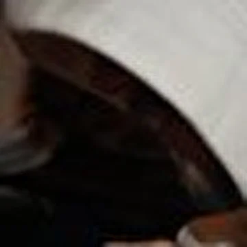 BRAIN COLLAPS Project