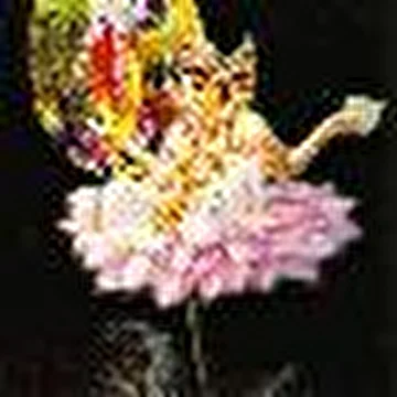 Apramatta das
