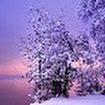Группа «Nostalgie»