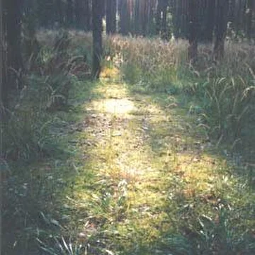 Randolf Scand