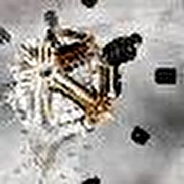 Darkwar