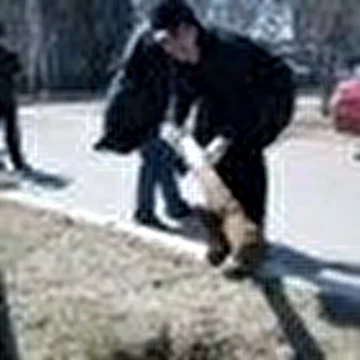 Константин Елисеев