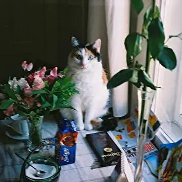 Сергей Гайдаров