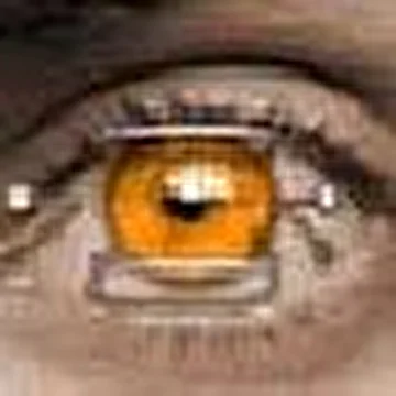 AleXX-D